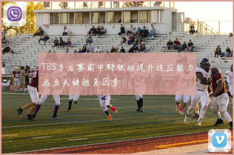 TES季后赛前中野联动提升适应能力成为关键胜负因素